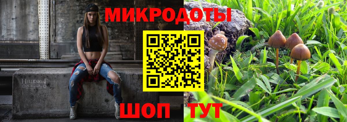 даркнет сайт  Вход с VPN  Нарьян-Мар  Галлюциногенные грибы Magic Shrooms 